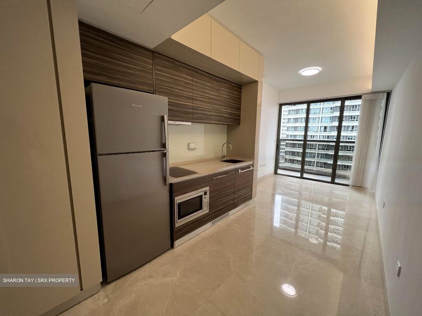 Commonwealth Towers (D3), Condominium #481897941